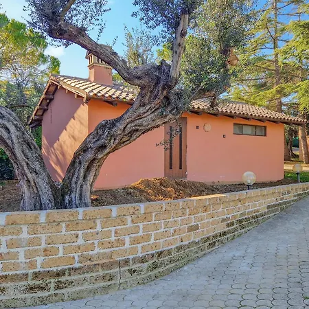 3 Bedroom Amazing In